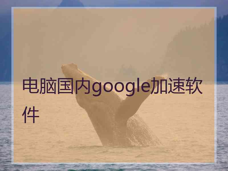 电脑国内google加速软件