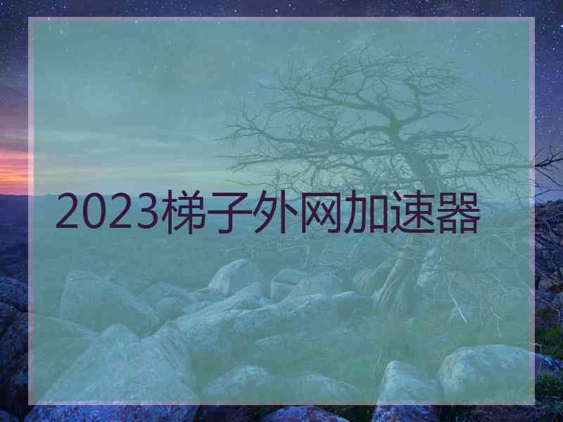 2023梯子外网加速器