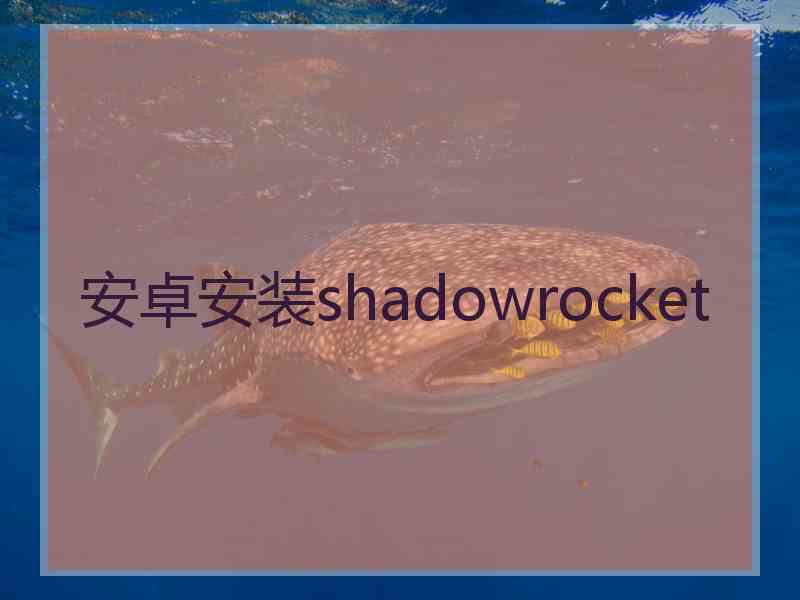 安卓安装shadowrocket