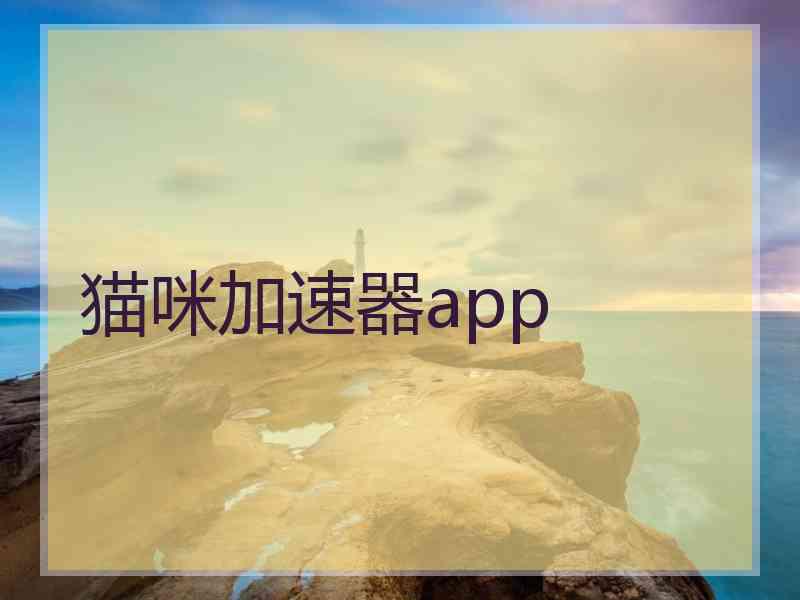 猫咪加速器app