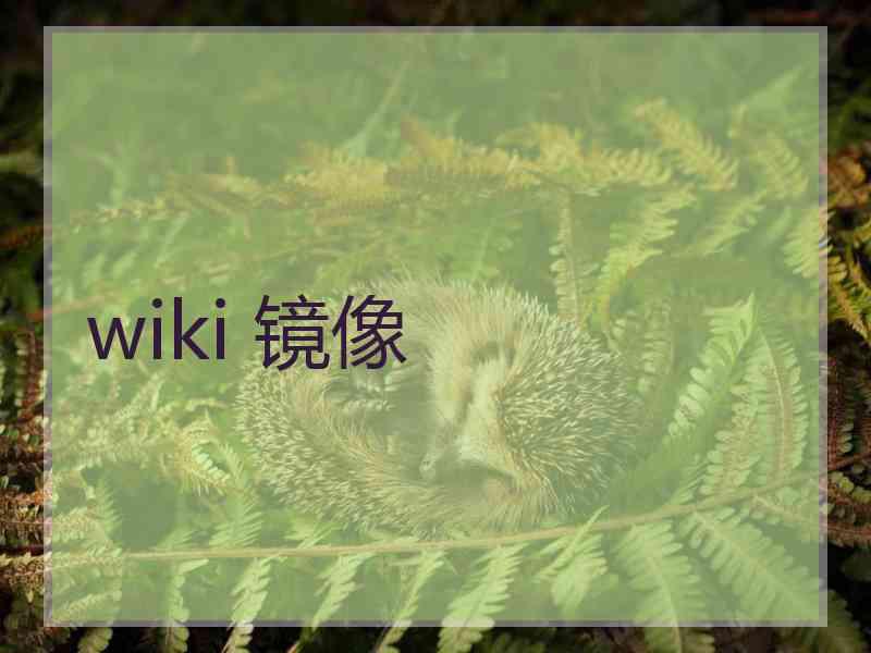 wiki 镜像