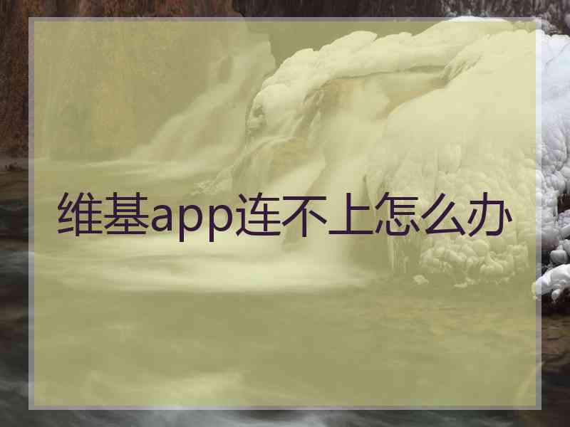 维基app连不上怎么办