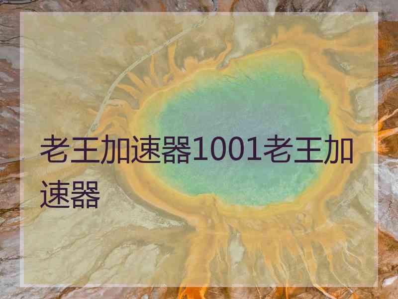 老王加速器1001老王加速器