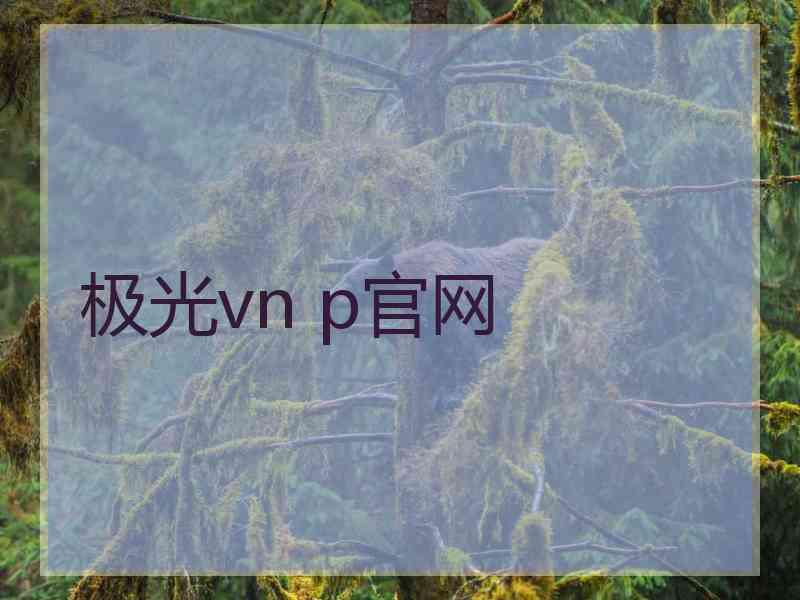 极光vn p官网