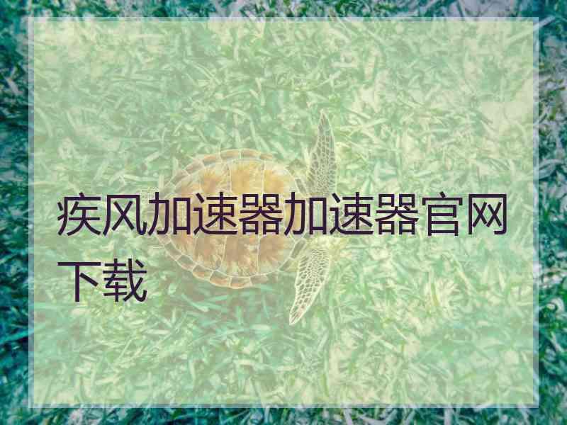 疾风加速器加速器官网下载