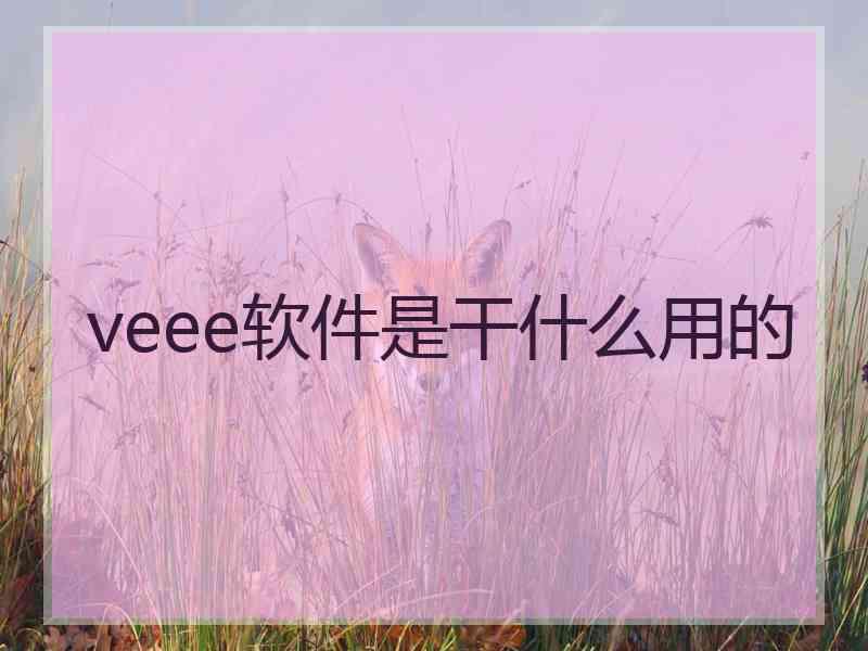 veee软件是干什么用的