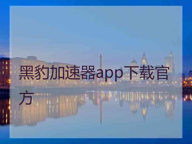 黑豹加速器app下载官方