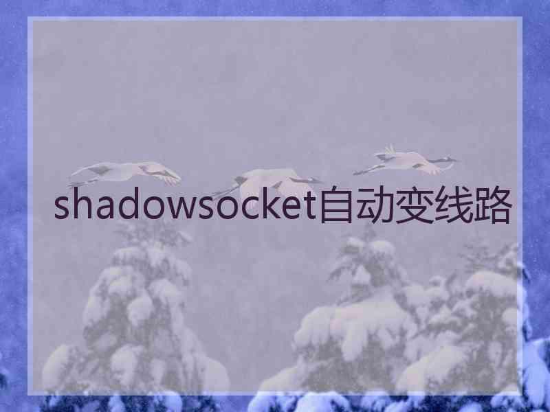 shadowsocket自动变线路