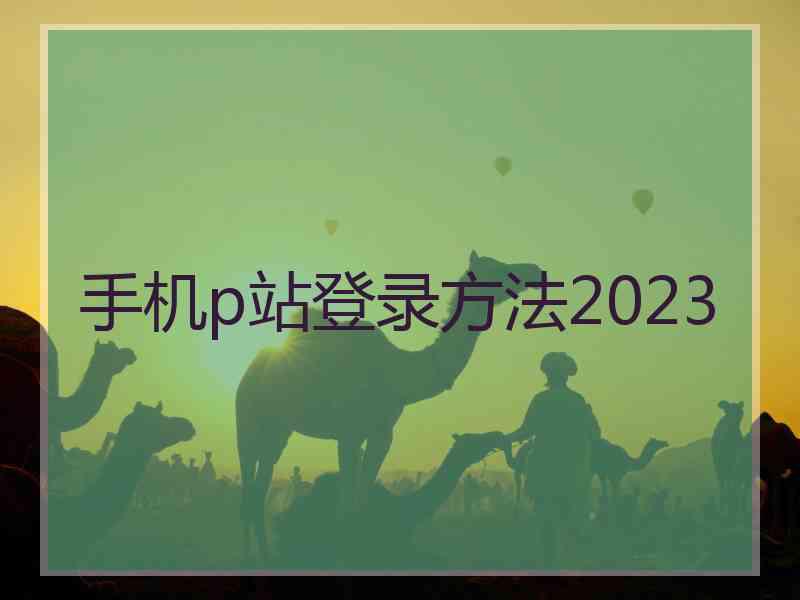 手机p站登录方法2023