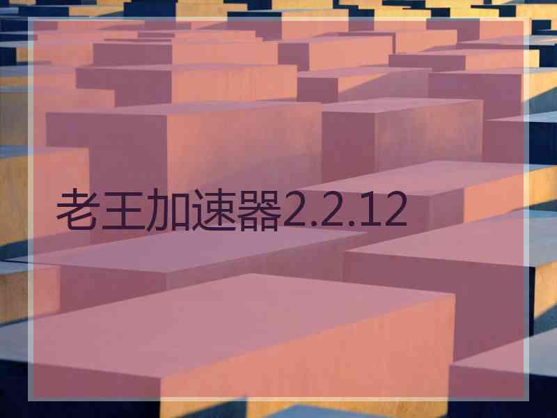 老王加速器2.2.12