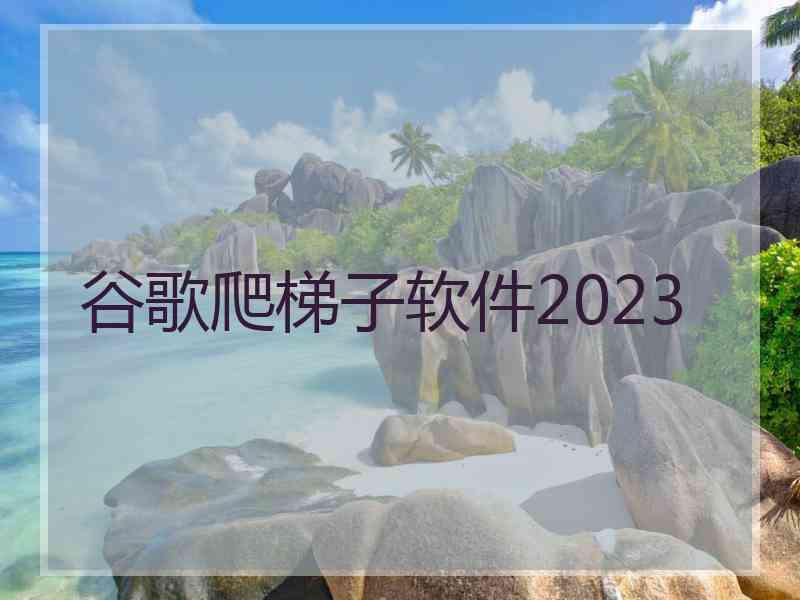 谷歌爬梯子软件2023