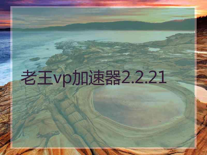 老王vp加速器2.2.21