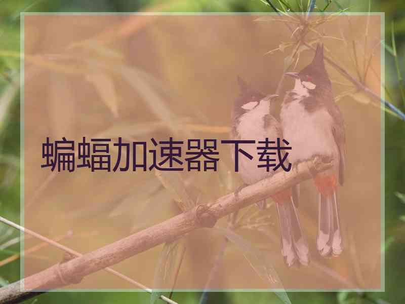 蝙蝠加速器下载