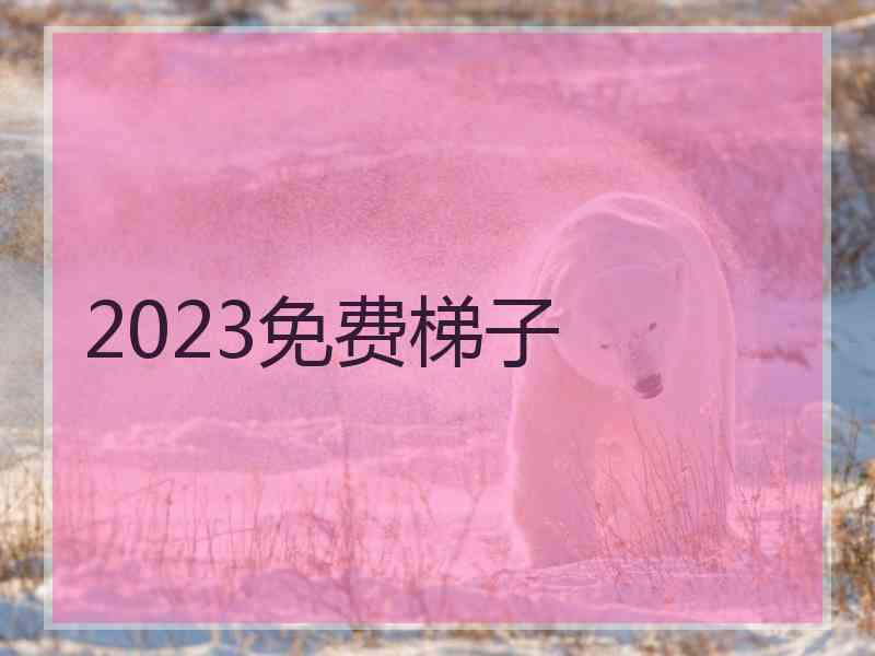 2023免费梯子