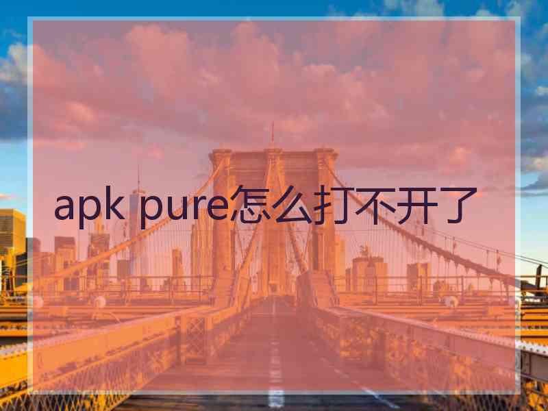 apk pure怎么打不开了