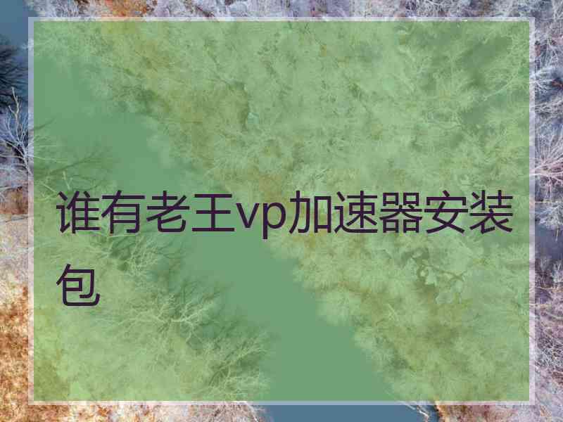 谁有老王vp加速器安装包