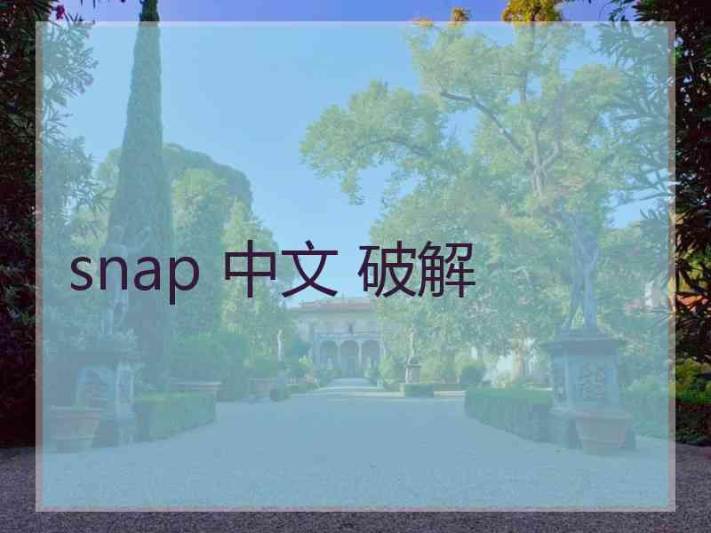 snap 中文 破解