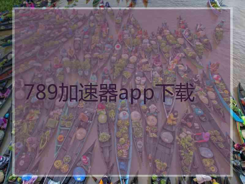 789加速器app下载