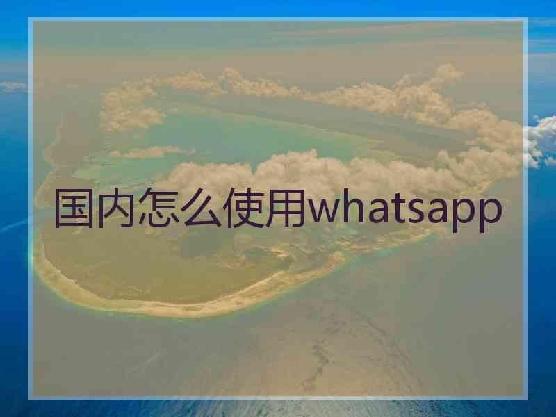 国内怎么使用whatsapp