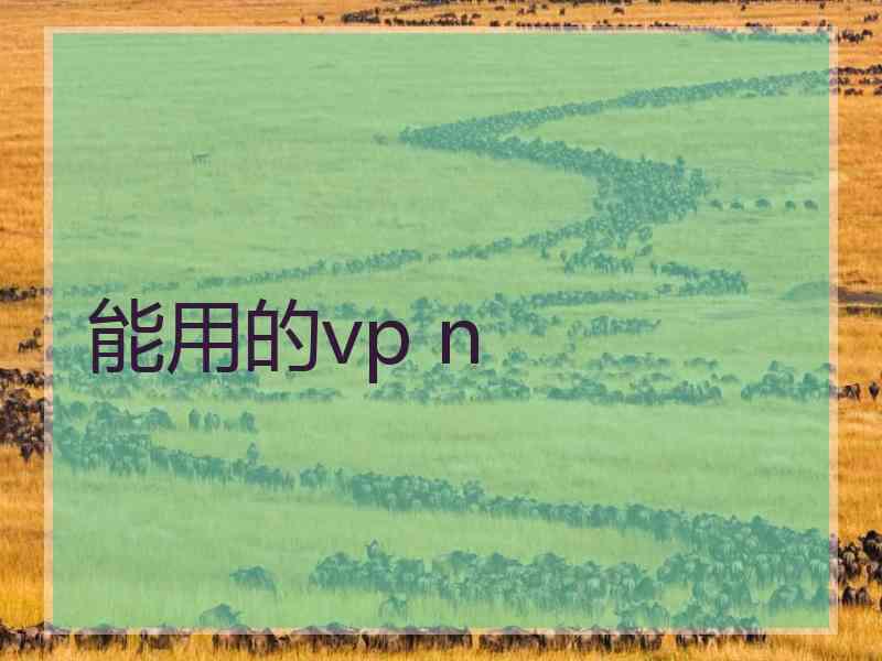 能用的vp n