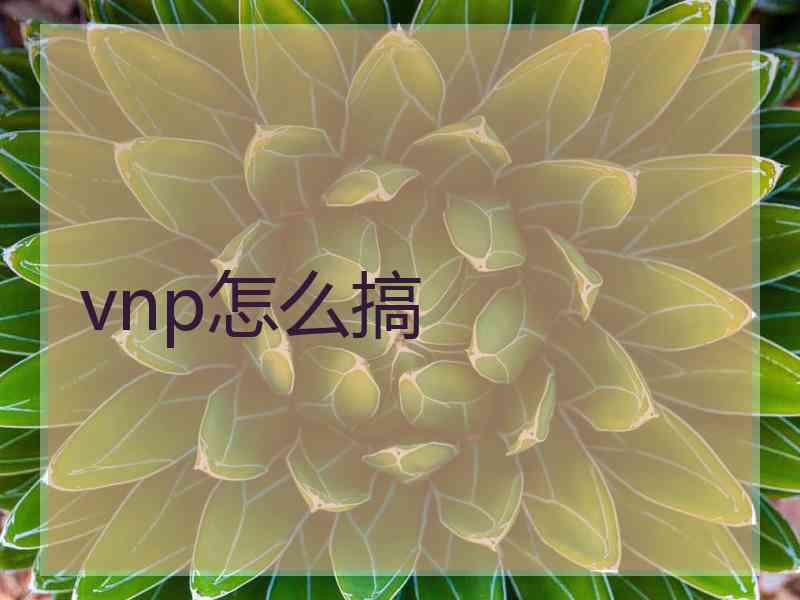 vnp怎么搞