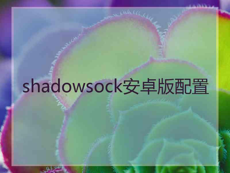 shadowsock安卓版配置