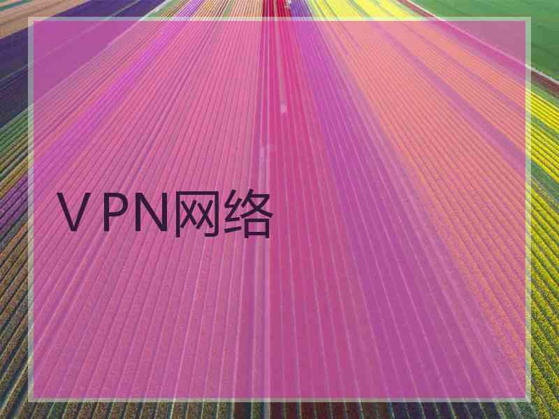 ⅤPN网络