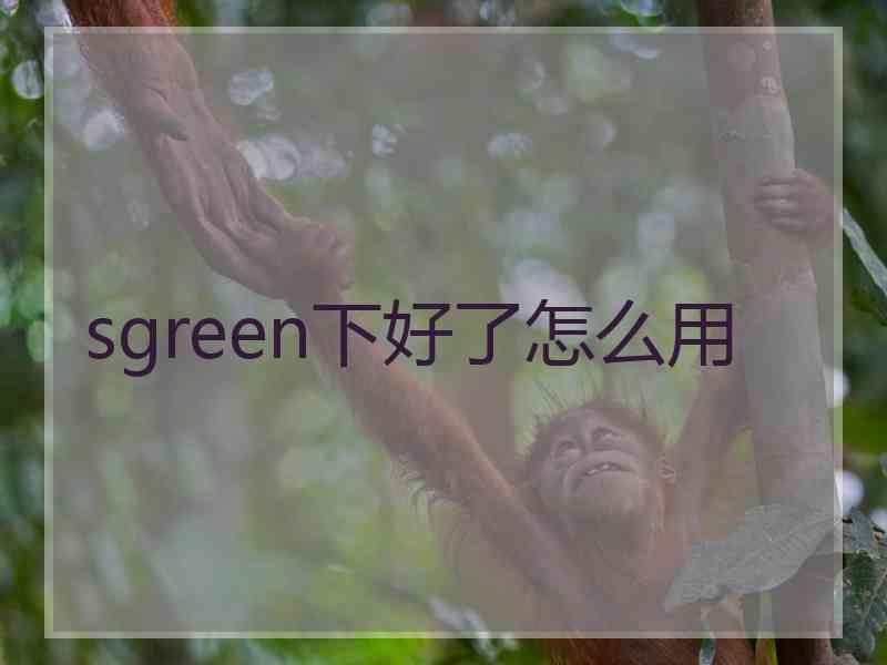 sgreen下好了怎么用