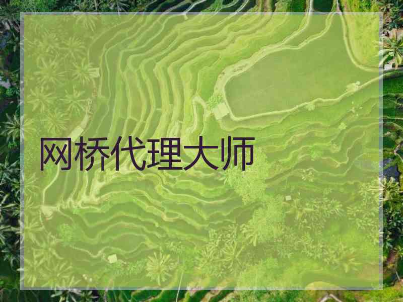 网桥代理大师