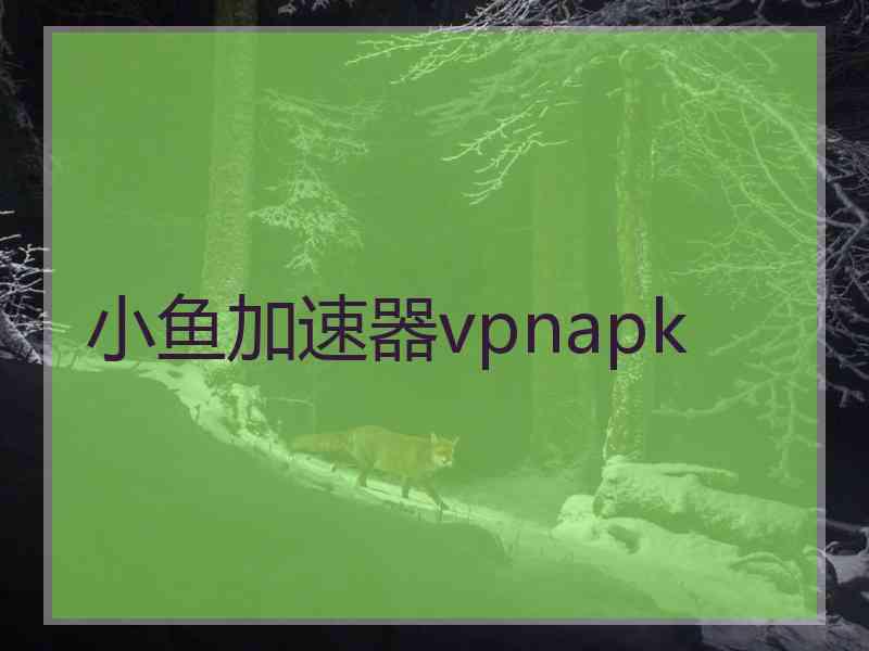 小鱼加速器vpnapk