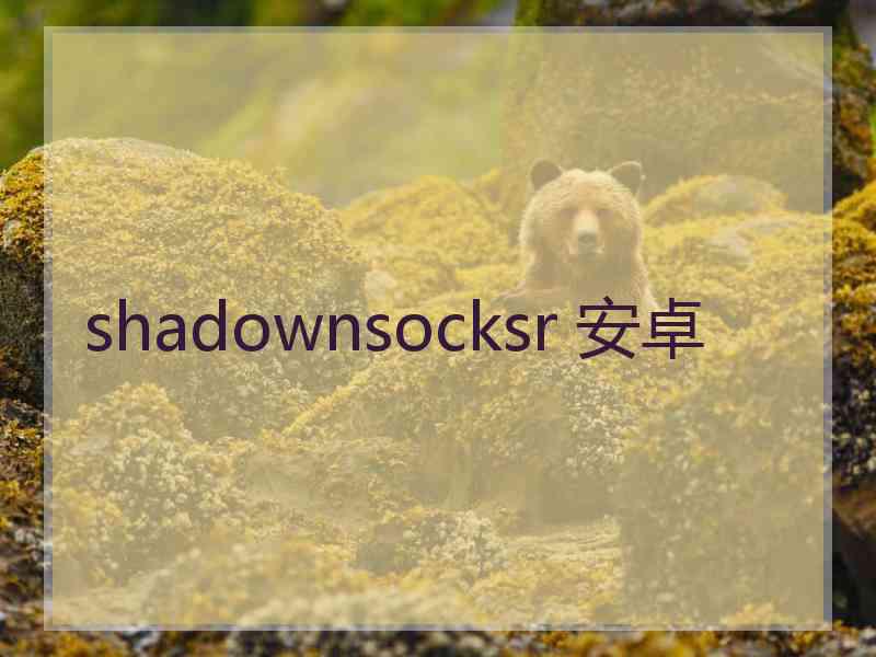 shadownsocksr 安卓