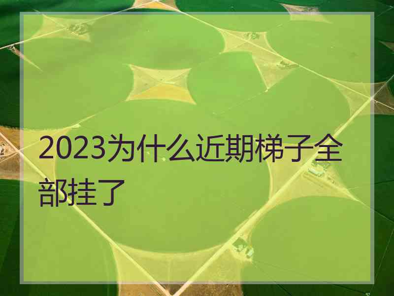 2023为什么近期梯子全部挂了