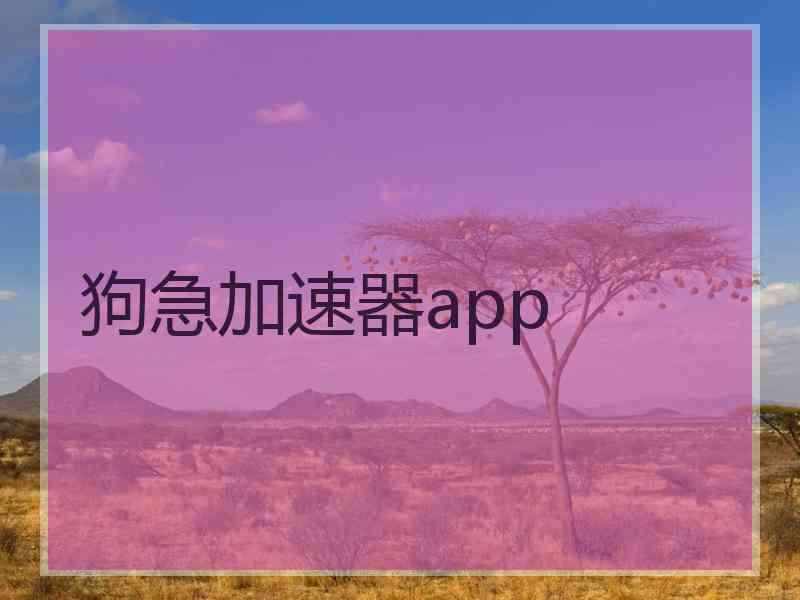 狗急加速器app