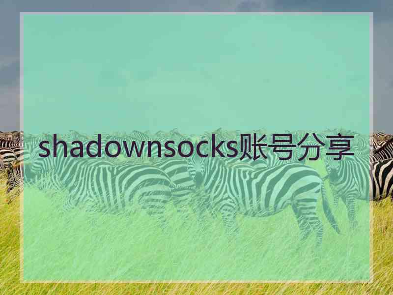 shadownsocks账号分享