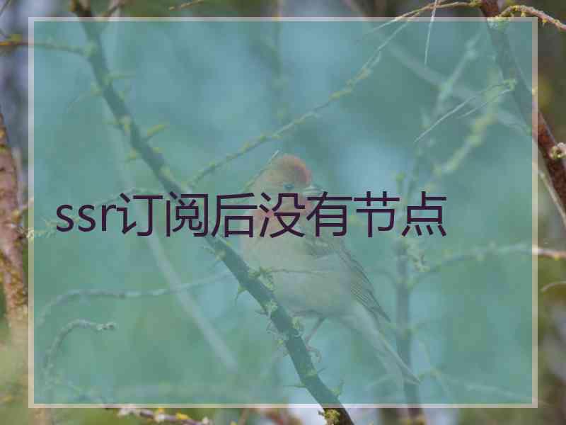 ssr订阅后没有节点