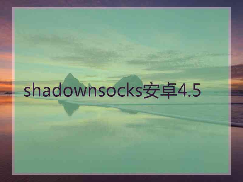 shadownsocks安卓4.5