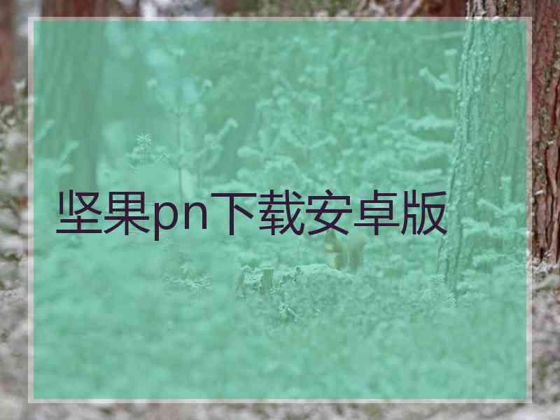 坚果pn下载安卓版