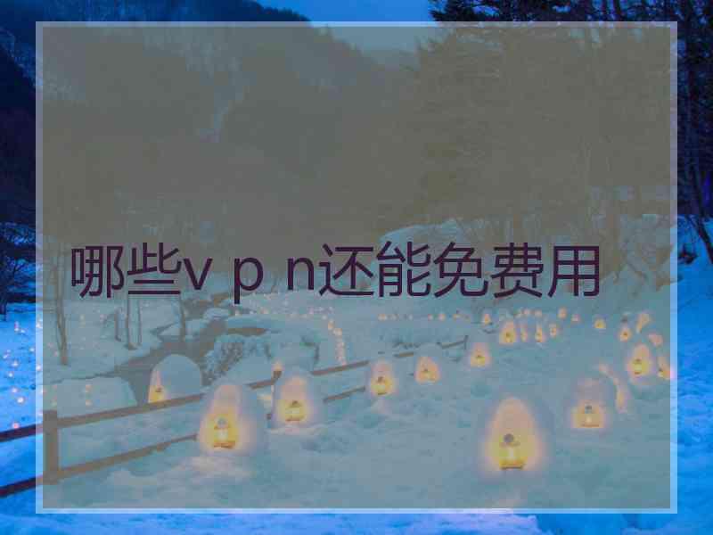 哪些v p n还能免费用