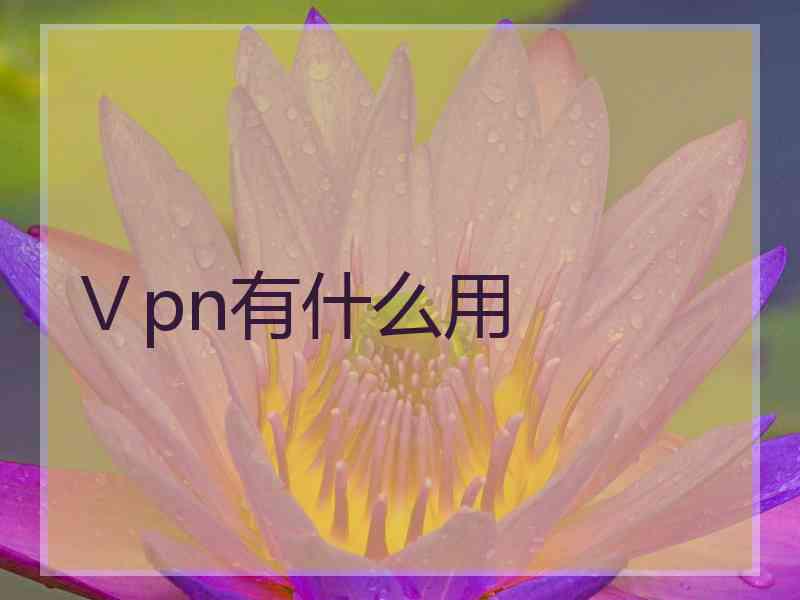 Ⅴpn有什么用