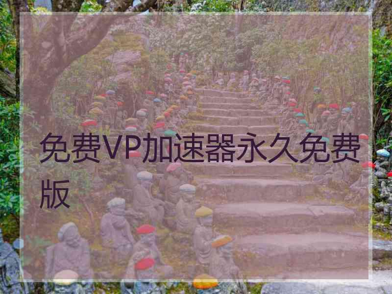 免费VP加速器永久免费版