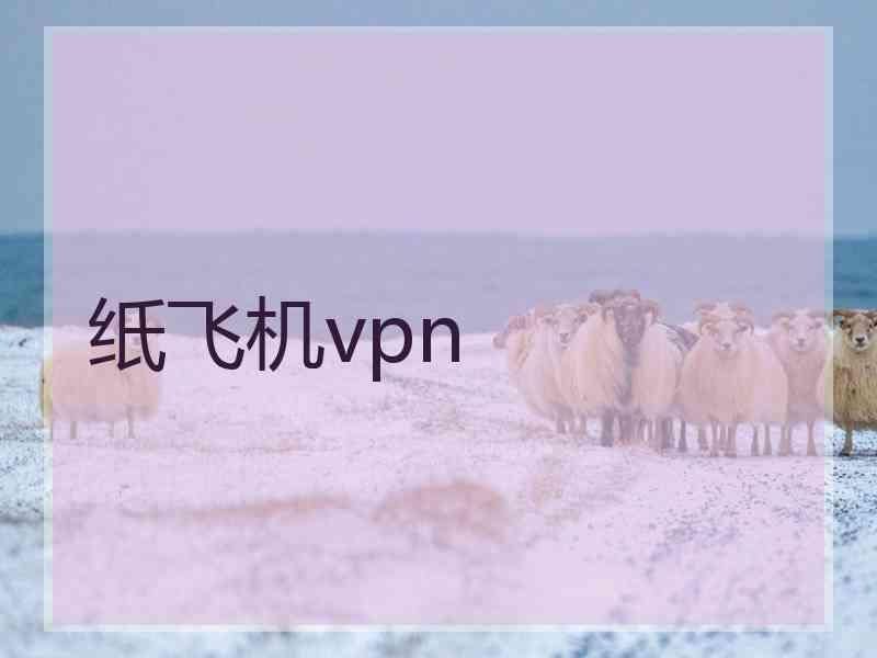 纸飞机vpn