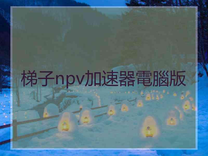 梯子npv加速器電腦版