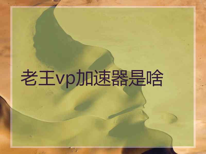 老王vp加速器是啥