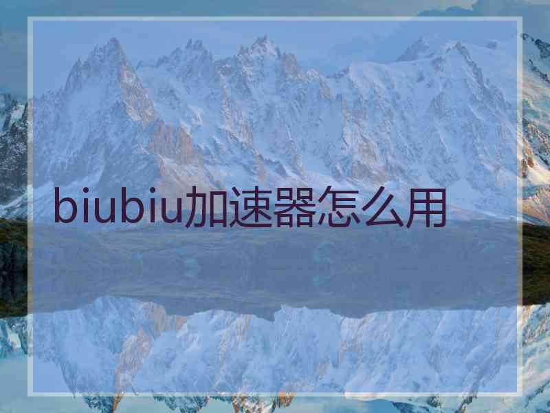 biubiu加速器怎么用