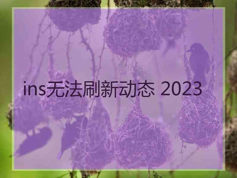 ins无法刷新动态 2023