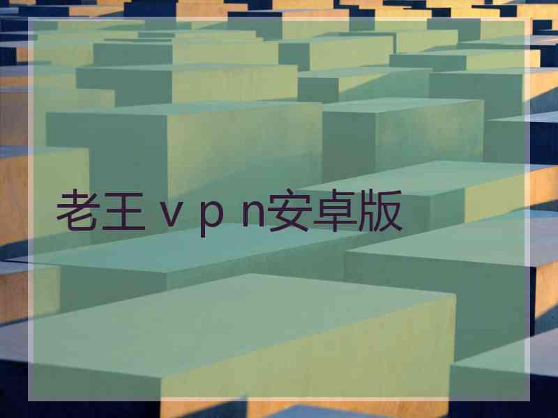 老王 v p n安卓版