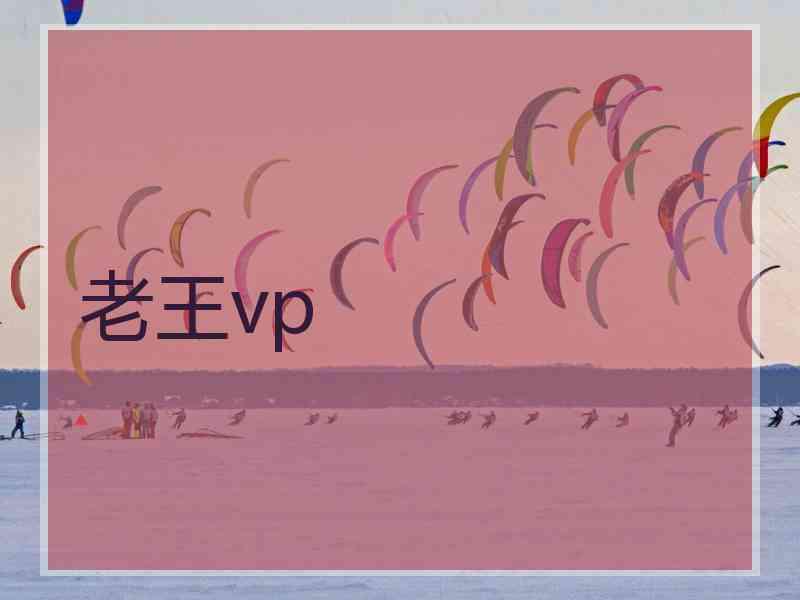 老王vp