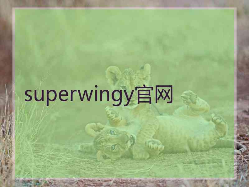 superwingy官网