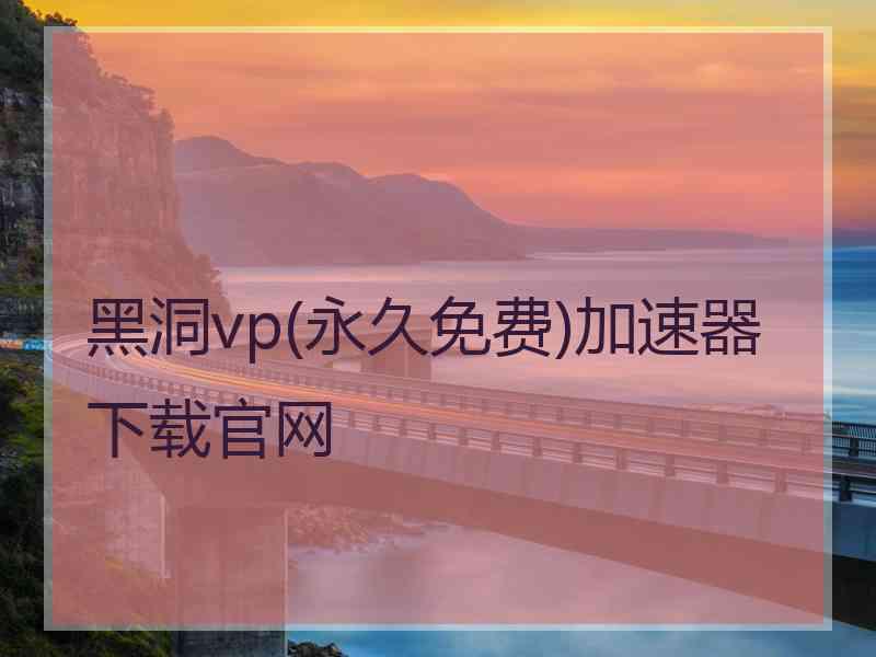 黑洞vp(永久免费)加速器下载官网