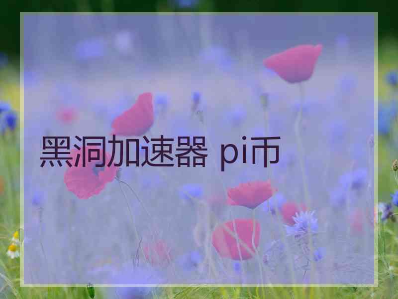 黑洞加速器 pi币